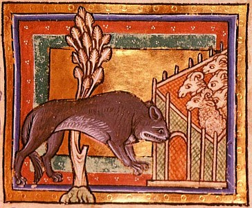 Gubbio Little Flowers