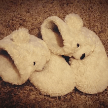 teddy bear slippers